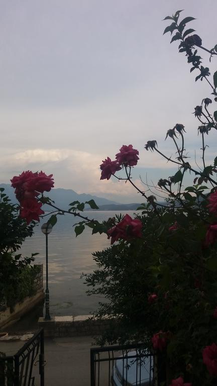 Ferienwohnung Apatments Stanojlovic Djenovic Herceg Novi Exterior foto