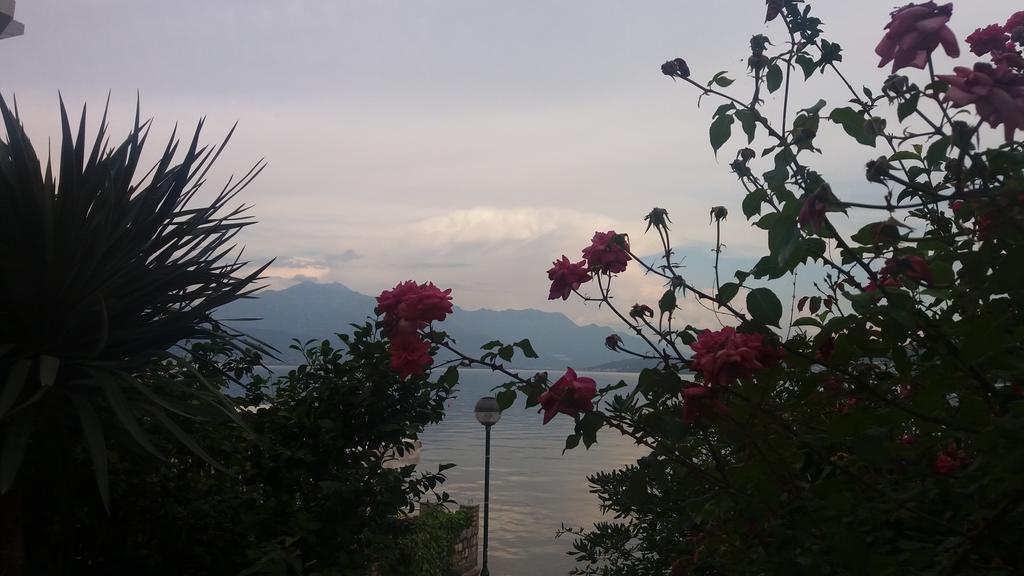 Ferienwohnung Apatments Stanojlovic Djenovic Herceg Novi Exterior foto